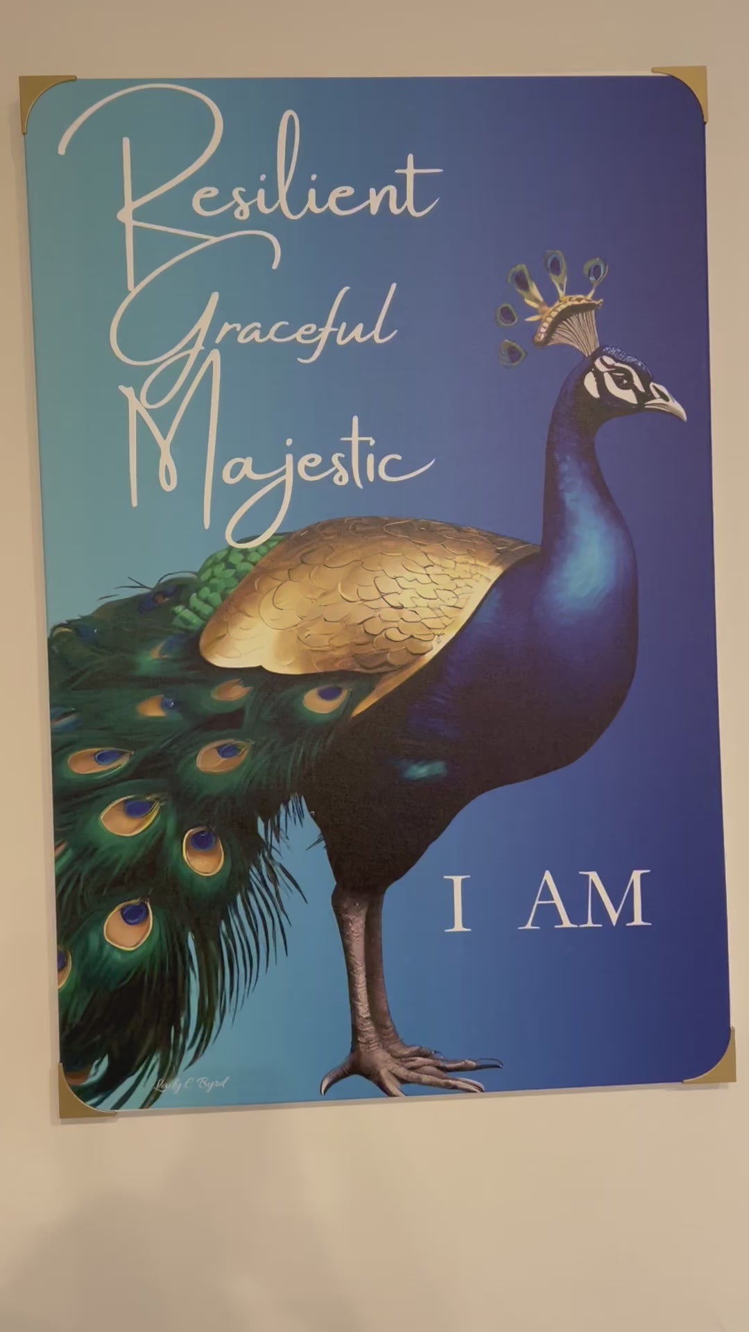 Video of peacock picture on wall